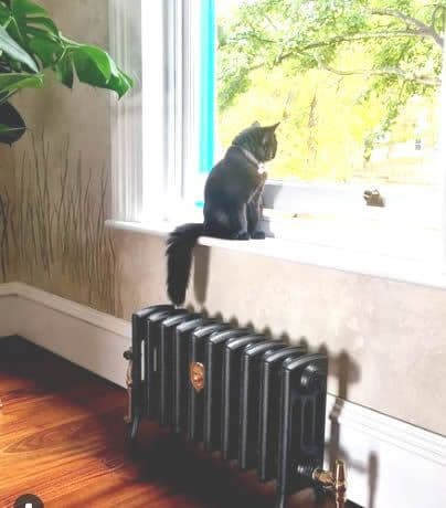 Cast Iron Radiators Sovereign 4 Column 360mm